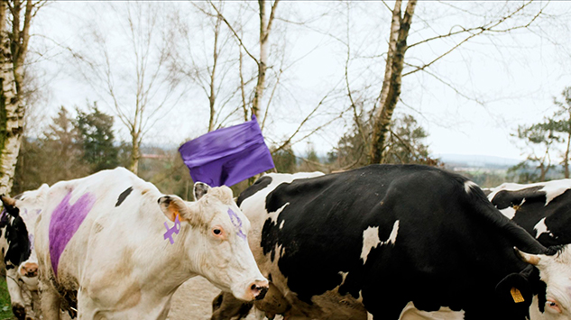 MANIFESTACIÓN DE VACAS EN XANCEDA POR EL 8M